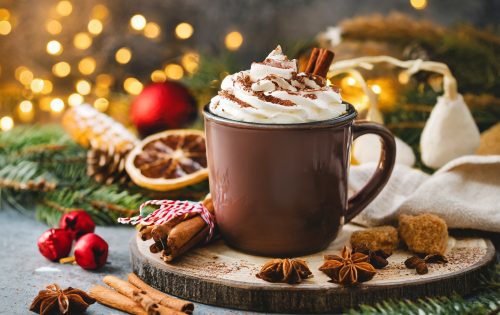 Firefly-hot-chocolate-with-whipped-cream-cosy-background-8218-1.jpg